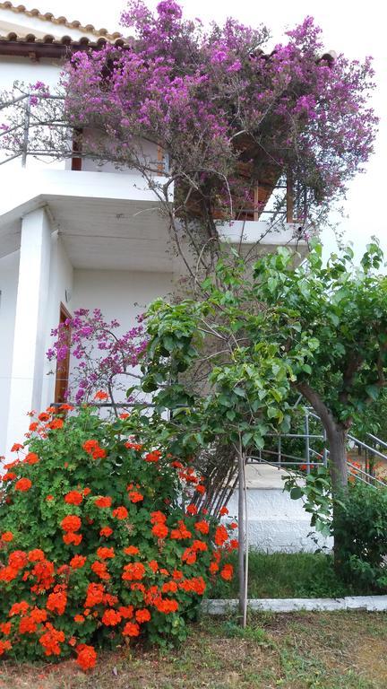 Theodore Apartments ซาคาโร ภายนอก รูปภาพ